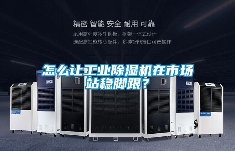怎么讓工業(yè)除濕機(jī)在市場(chǎng)站穩(wěn)腳跟？
