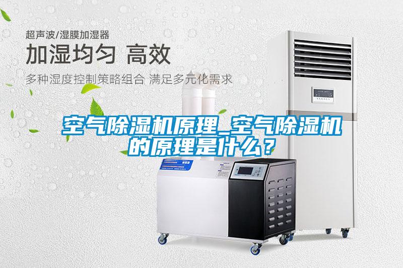 空氣除濕機(jī)原理_空氣除濕機(jī)的原理是什么？