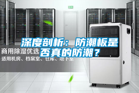 深度剖析：防潮板是否真的防潮？