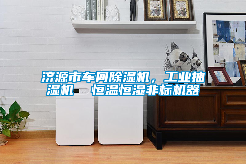 濟(jì)源市車間除濕機(jī)，工業(yè)抽濕機(jī)  恒溫恒濕非標(biāo)機(jī)器