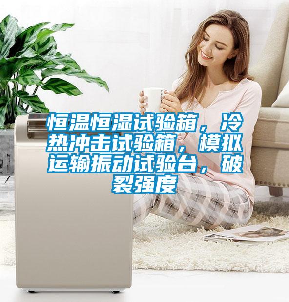 恒溫恒濕試驗(yàn)箱，冷熱沖擊試驗(yàn)箱，模擬運(yùn)輸振動(dòng)試驗(yàn)臺(tái)，破裂強(qiáng)度