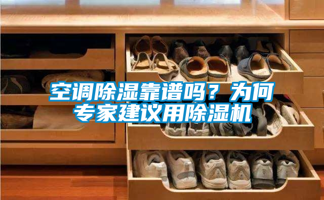 空調(diào)除濕靠譜嗎？為何專家建議用除濕機
