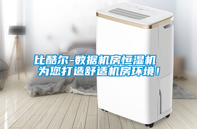 比酷爾-數(shù)據(jù)機(jī)房恒濕機(jī) 為您打造舒適機(jī)房環(huán)境！