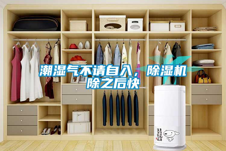 潮濕氣不請(qǐng)自入，除濕機(jī)除之后快