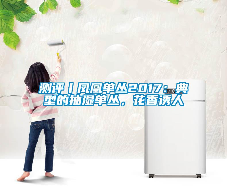 測(cè)評(píng)丨鳳凰單叢2017：典型的抽濕單叢，花香誘人