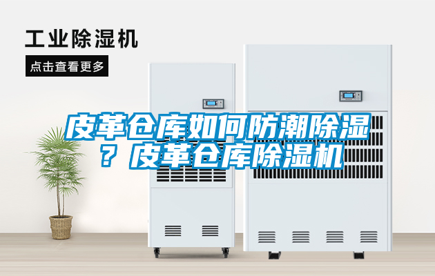 皮革倉(cāng)庫(kù)如何防潮除濕？皮革倉(cāng)庫(kù)除濕機(jī)