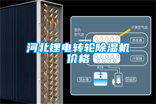河北鋰電轉(zhuǎn)輪除濕機(jī)價格