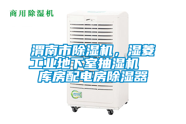 渭南市除濕機，濕菱工業(yè)地下室抽濕機  庫房配電房除濕器