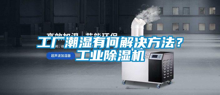 工廠潮濕有何解決方法？工業(yè)除濕機(jī)
