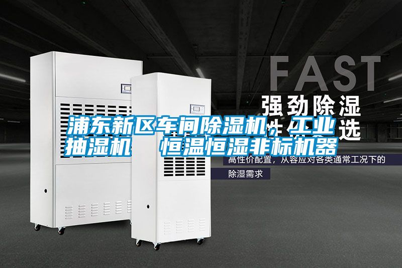 浦東新區(qū)車間除濕機，工業(yè)抽濕機  恒溫恒濕非標機器