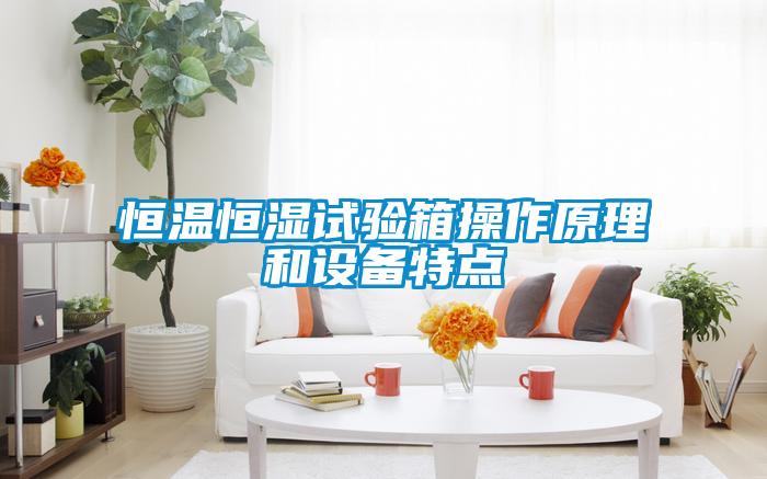 恒溫恒濕試驗箱操作原理和設(shè)備特點(diǎn)