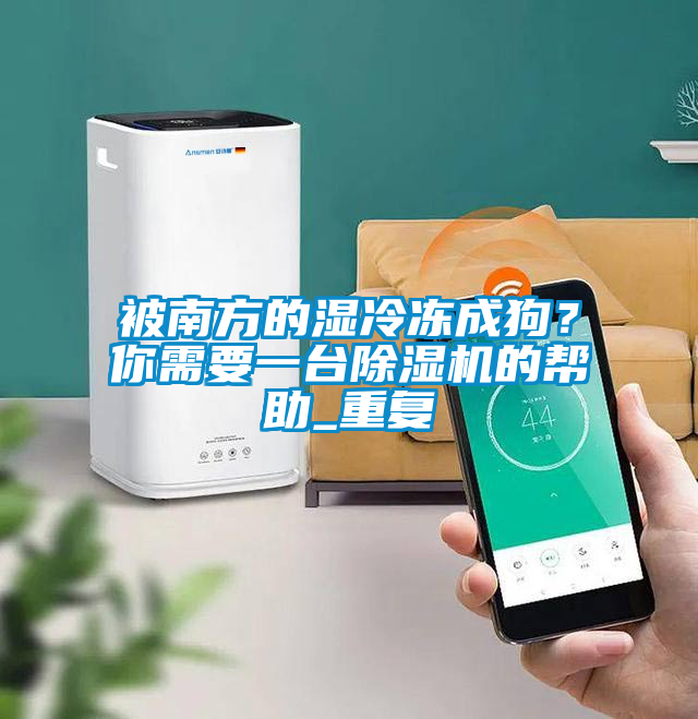 被南方的濕冷凍成狗？你需要一臺除濕機的幫助_重復(fù)
