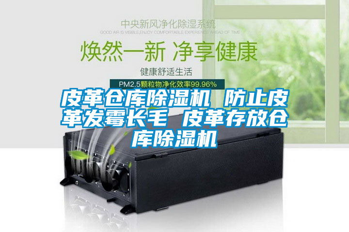 皮革倉(cāng)庫(kù)除濕機(jī) 防止皮革發(fā)霉長(zhǎng)毛 皮革存放倉(cāng)庫(kù)除濕機(jī)