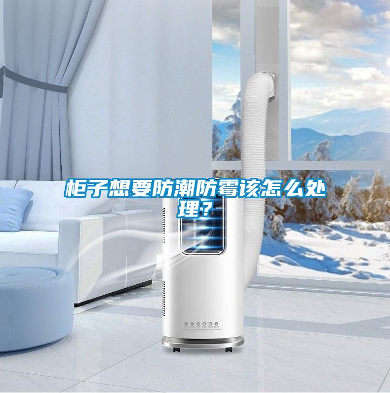柜子想要防潮防霉該怎么處理？