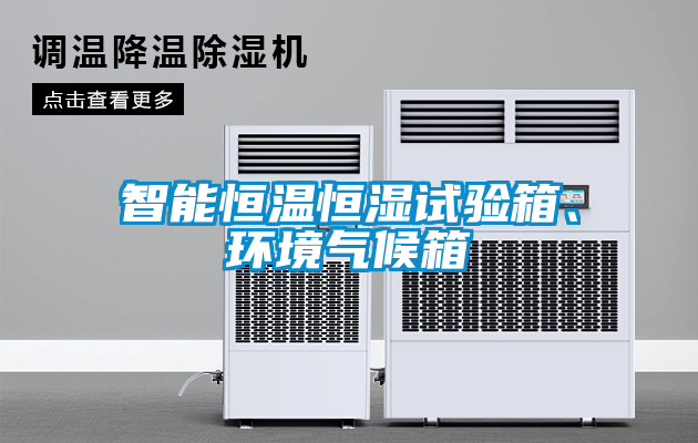 智能恒溫恒濕試驗(yàn)箱、環(huán)境氣候箱