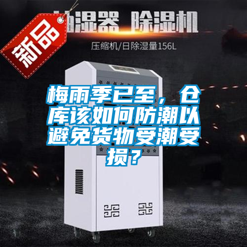 梅雨季已至，倉庫該如何防潮以避免貨物受潮受損？