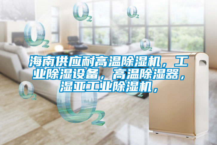 海南供應耐高溫除濕機，工業(yè)除濕設備，高溫除濕器，濕亞工業(yè)除濕機，