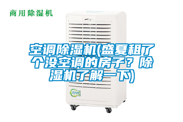 空調(diào)除濕機(盛夏租了個沒空調(diào)的房子？除濕機了解一下)