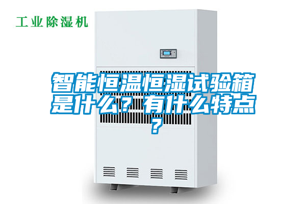智能恒溫恒濕試驗(yàn)箱是什么？有什么特點(diǎn)？