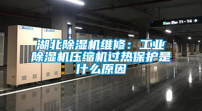 湖北除濕機維修：工業(yè)除濕機壓縮機過熱保護(hù)是什么原因