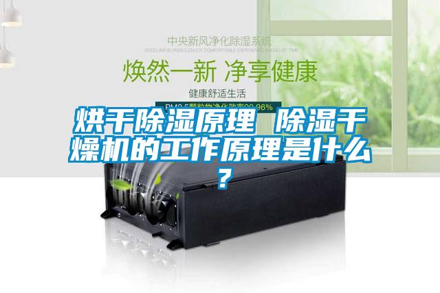 烘干除濕原理 除濕干燥機的工作原理是什么？