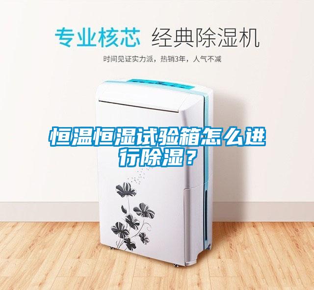 恒溫恒濕試驗(yàn)箱怎么進(jìn)行除濕？