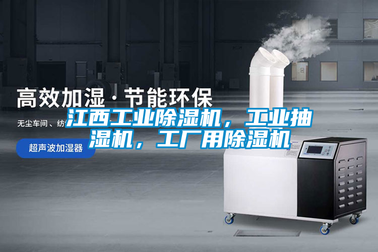 江西工業(yè)除濕機(jī)，工業(yè)抽濕機(jī)，工廠用除濕機(jī)