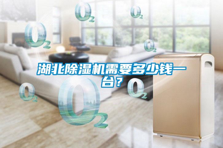 湖北除濕機(jī)需要多少錢一臺(tái)？