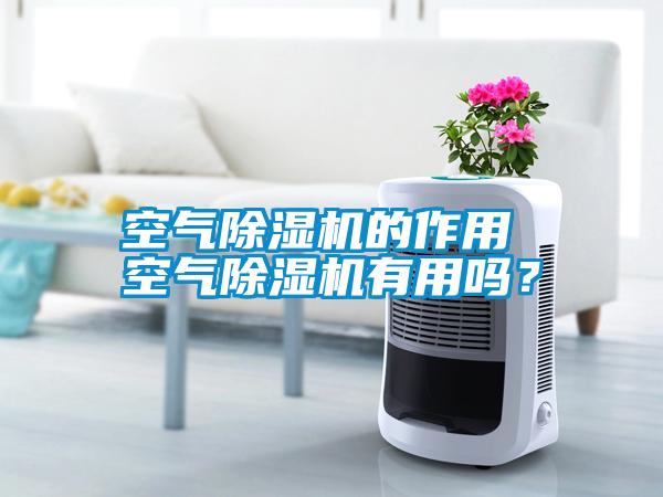 空氣除濕機(jī)的作用 空氣除濕機(jī)有用嗎？