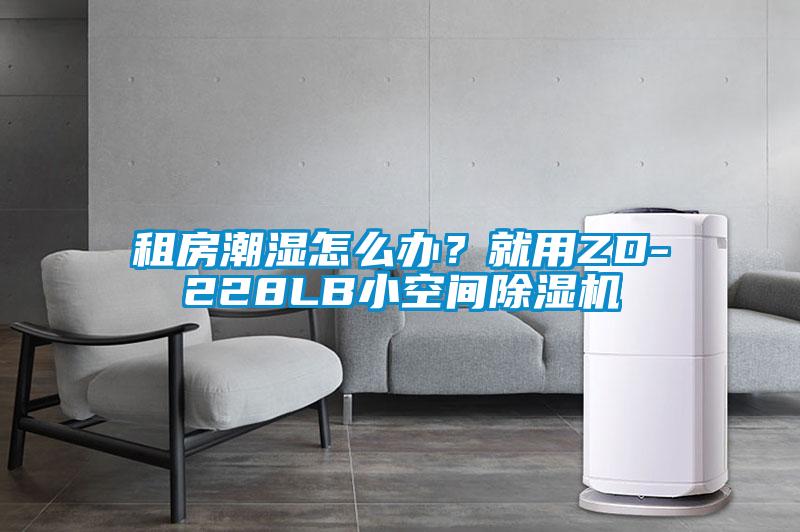 租房潮濕怎么辦？就用ZD-228LB小空間除濕機(jī)