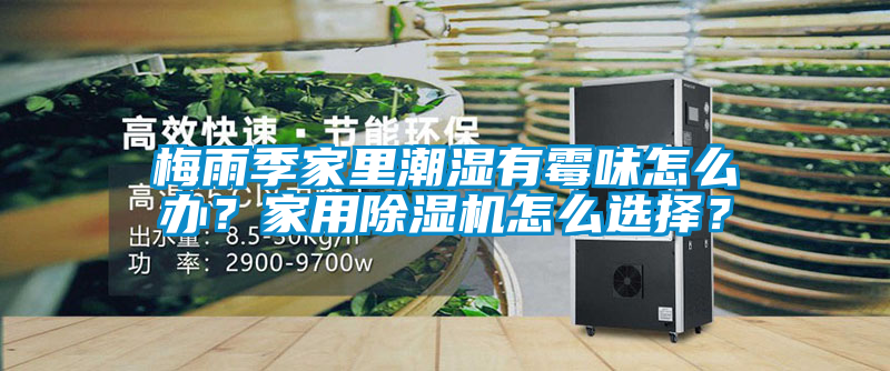 梅雨季家里潮濕有霉味怎么辦？家用除濕機(jī)怎么選擇？