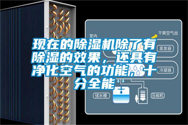 現(xiàn)在的除濕機(jī)除了有除濕的效果，還具有凈化空氣的功能，十分全能