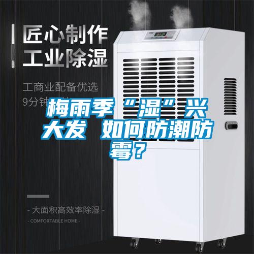 梅雨季“濕”興大發(fā) 如何防潮防霉？