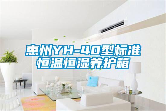 惠州YH-40型標準恒溫恒濕養(yǎng)護箱