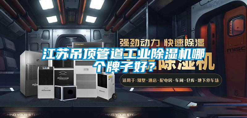 江蘇吊頂管道工業(yè)除濕機(jī)哪個(gè)牌子好？