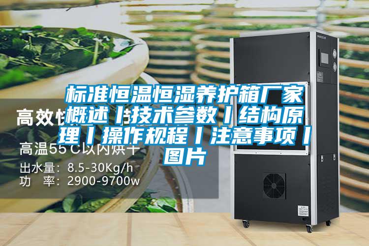 標(biāo)準(zhǔn)恒溫恒濕養(yǎng)護箱廠家概述丨技術(shù)參數(shù)丨結(jié)構(gòu)原理丨操作規(guī)程丨注意事項丨圖片