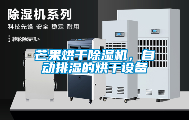 芒果烘干除濕機，自動排濕的烘干設備