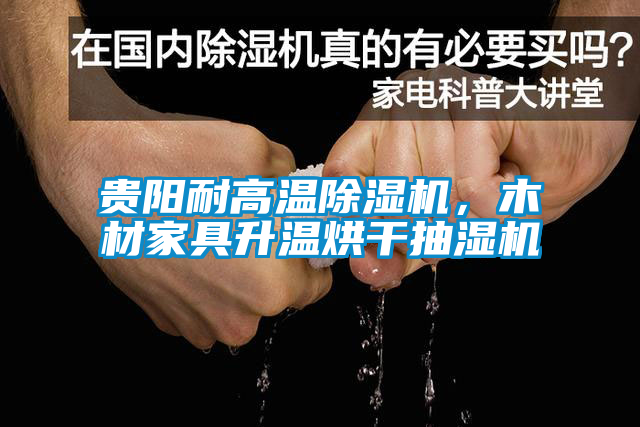貴陽耐高溫除濕機(jī)，木材家具升溫烘干抽濕機(jī)