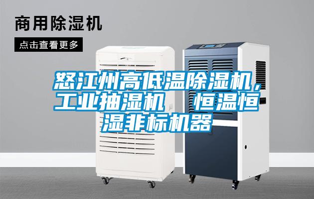 怒江州高低溫除濕機(jī)，工業(yè)抽濕機(jī)  恒溫恒濕非標(biāo)機(jī)器