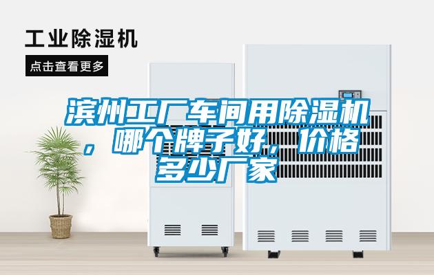 濱州工廠車間用除濕機，哪個牌子好，價格多少廠家