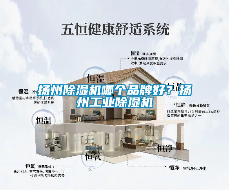 揚(yáng)州除濕機(jī)哪個(gè)品牌好？揚(yáng)州工業(yè)除濕機(jī)