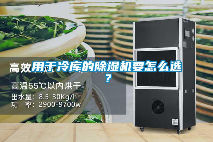 用于冷庫(kù)的除濕機(jī)要怎么選？