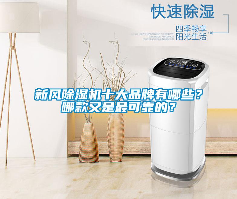 新風(fēng)除濕機(jī)十大品牌有哪些？哪款又是最可靠的？