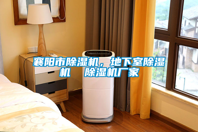 襄陽市除濕機(jī)，地下室除濕機(jī)  除濕機(jī)廠家
