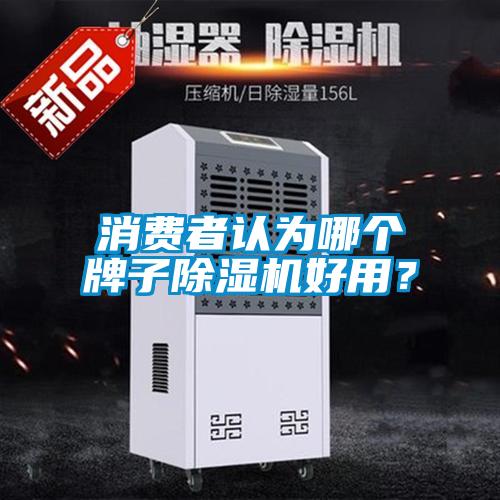 消費(fèi)者認(rèn)為哪個(gè)牌子除濕機(jī)好用？