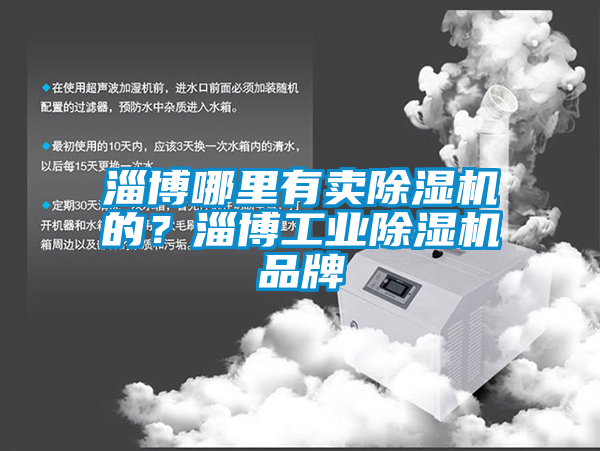 淄博哪里有賣除濕機(jī)的？淄博工業(yè)除濕機(jī)品牌