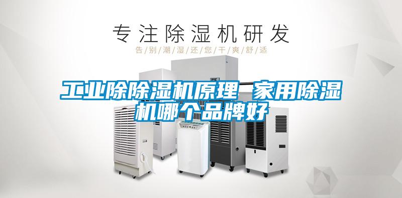 工業(yè)除除濕機(jī)原理 家用除濕機(jī)哪個品牌好