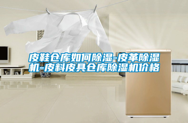 皮鞋倉(cāng)庫(kù)如何除濕-皮革除濕機(jī)-皮料皮具倉(cāng)庫(kù)除濕機(jī)價(jià)格