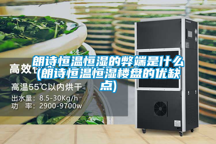 朗詩(shī)恒溫恒濕的弊端是什么(朗詩(shī)恒溫恒濕樓盤的優(yōu)缺點(diǎn))