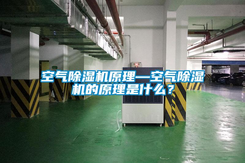 空氣除濕機(jī)原理—空氣除濕機(jī)的原理是什么？